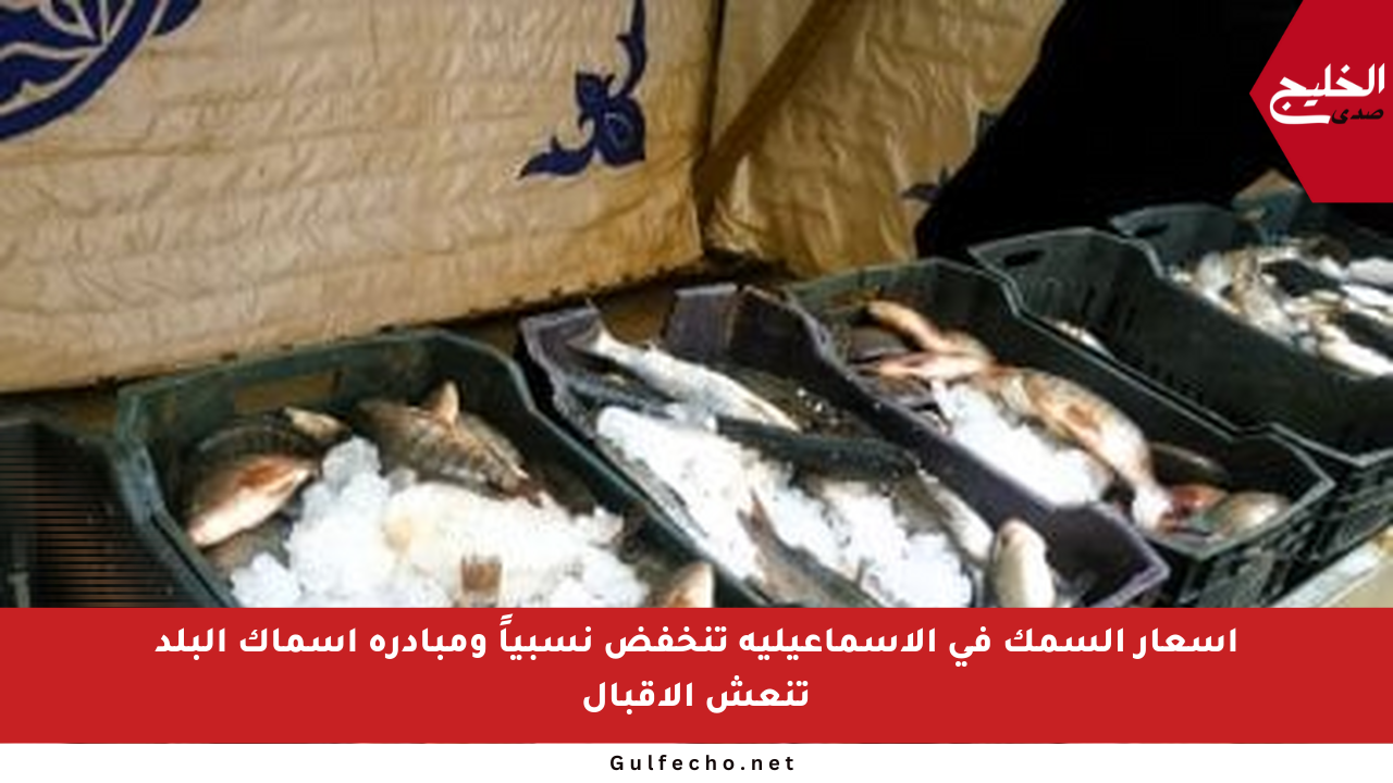 أسعار السمك في الإسماعيلية تنخفض نسبياً ومبادرة أسماك البلد تنعش الإقبال